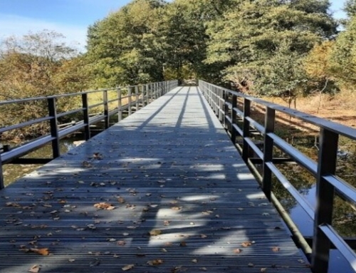 Brücke und Deich bei Lehnigksberg