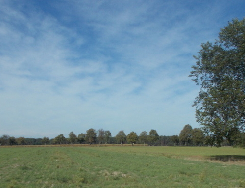 Solarpark Guhrow